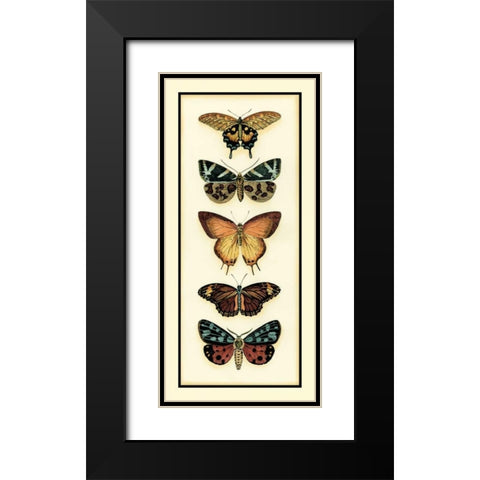 Butterfly Collector V Black Modern Wood Framed Art Print with Double Matting by Zarris, Chariklia