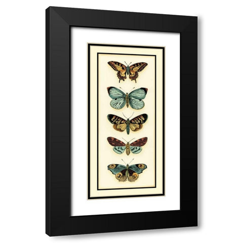 Butterfly Collector VI Black Modern Wood Framed Art Print with Double Matting by Zarris, Chariklia