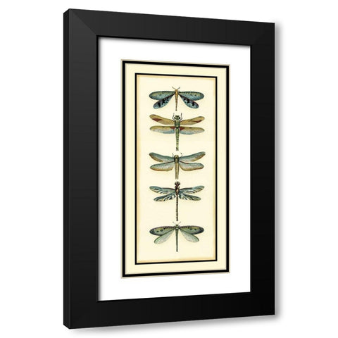 Dragonfly Collector I Black Modern Wood Framed Art Print with Double Matting by Zarris, Chariklia