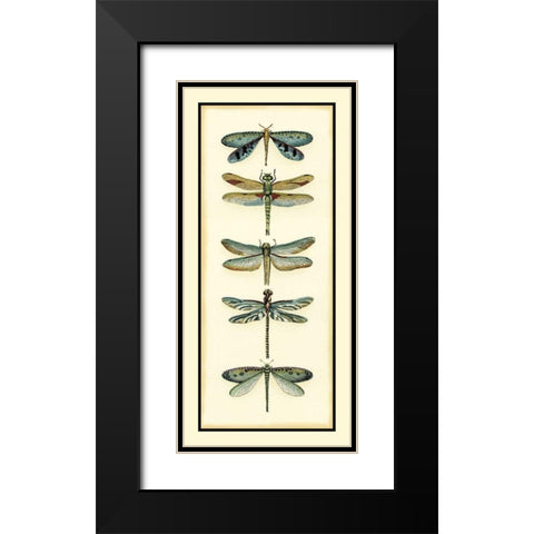 Dragonfly Collector I Black Modern Wood Framed Art Print with Double Matting by Zarris, Chariklia