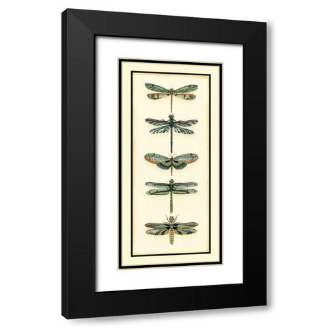 Dragonfly Collector II Black Modern Wood Framed Art Print with Double Matting by Zarris, Chariklia