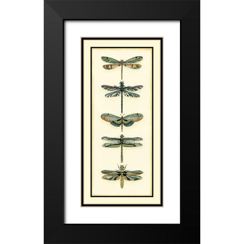 Dragonfly Collector II Black Modern Wood Framed Art Print with Double Matting by Zarris, Chariklia
