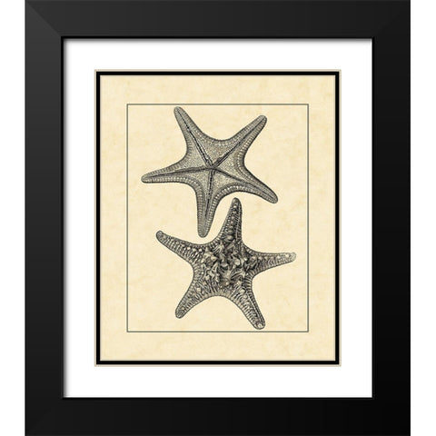 AntiqueandDeckle Vintage Starfish II Black Modern Wood Framed Art Print with Double Matting by Vision Studio