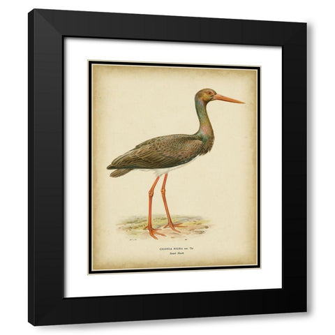 Non-embellished Vintage Heron I Black Modern Wood Framed Art Print with Double Matting by Wright, Von
