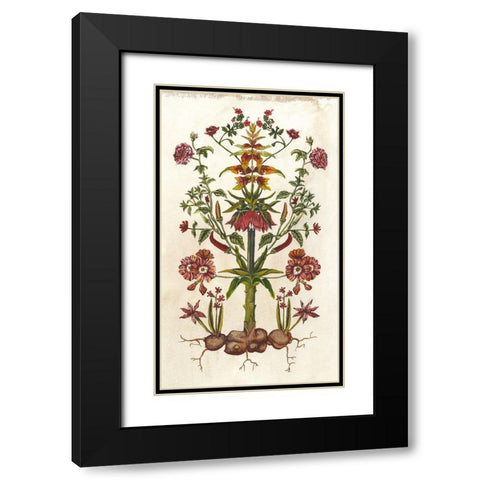 Botanical Hybrid I Black Modern Wood Framed Art Print with Double Matting by McCavitt, Naomi
