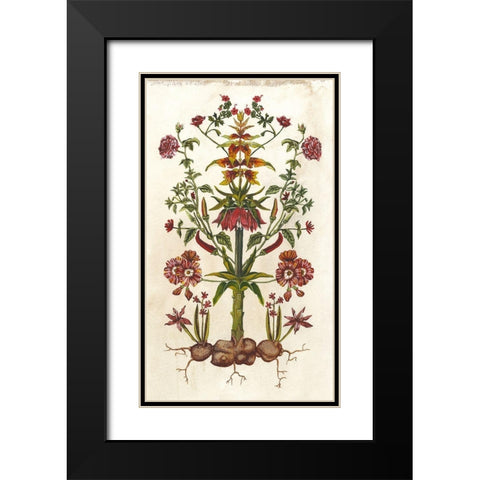 Botanical Hybrid I Black Modern Wood Framed Art Print with Double Matting by McCavitt, Naomi
