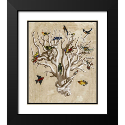 The Ornithologists Dream I Black Modern Wood Framed Art Print with Double Matting by McCavitt, Naomi