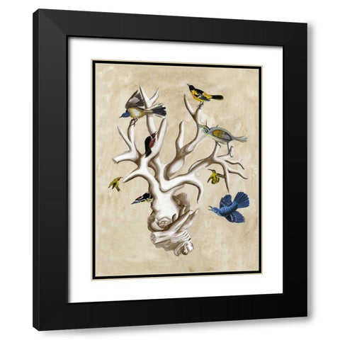 The Ornithologists Dream II Black Modern Wood Framed Art Print with Double Matting by McCavitt, Naomi
