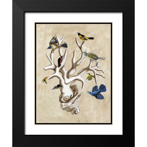 The Ornithologists Dream II Black Modern Wood Framed Art Print with Double Matting by McCavitt, Naomi