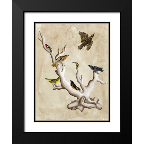 The Ornithologists Dream III Black Modern Wood Framed Art Print with Double Matting by McCavitt, Naomi
