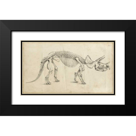Dinosaur Study II Black Modern Wood Framed Art Print with Double Matting by Harper, Ethan