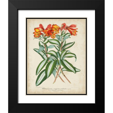 Tropical Array III Black Modern Wood Framed Art Print with Double Matting by Van Houtteano, Horto