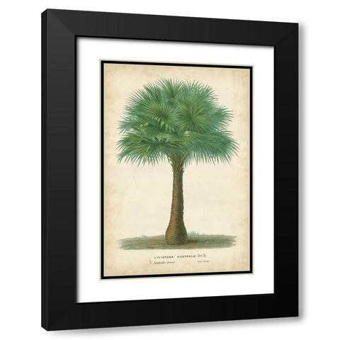 Palm of the Tropics I Black Modern Wood Framed Art Print with Double Matting by Van Houtteano, Horto