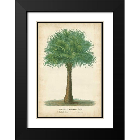 Palm of the Tropics I Black Modern Wood Framed Art Print with Double Matting by Van Houtteano, Horto