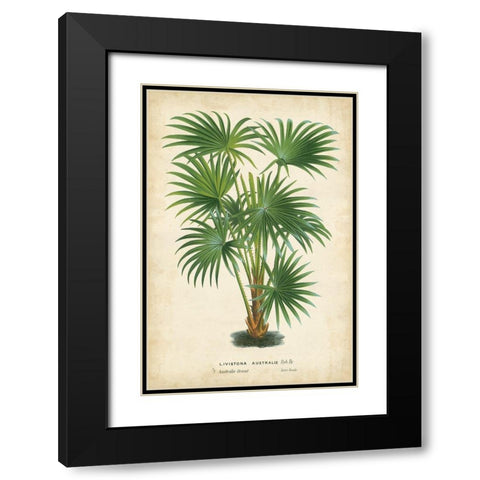 Palm of the Tropics IV Black Modern Wood Framed Art Print with Double Matting by Van Houtteano, Horto
