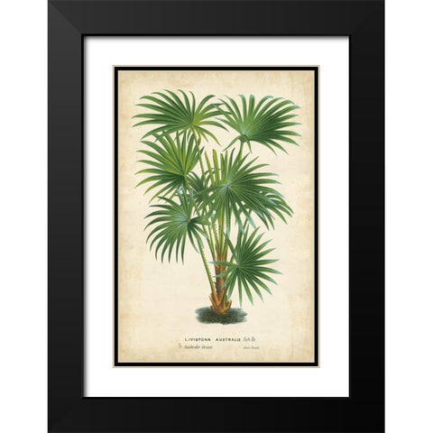Palm of the Tropics IV Black Modern Wood Framed Art Print with Double Matting by Van Houtteano, Horto