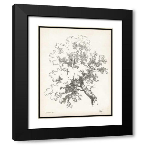 Oak Tree Study Black Modern Wood Framed Art Print with Double Matting by Unknown