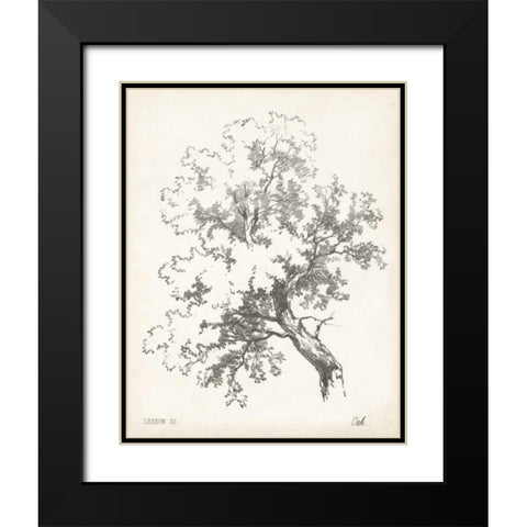 Oak Tree Study Black Modern Wood Framed Art Print with Double Matting by Unknown