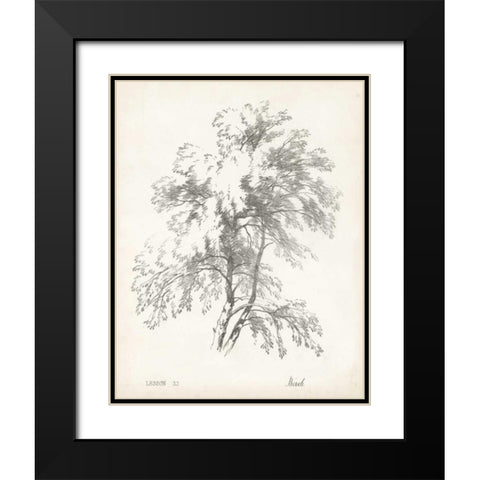 Birch Tree Study Black Modern Wood Framed Art Print with Double Matting by Unknown