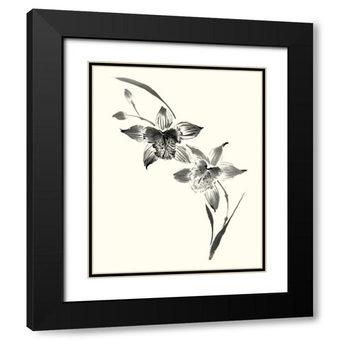 Studies in Ink - Cymbidium Black Modern Wood Framed Art Print with Double Matting by Rae, Nan