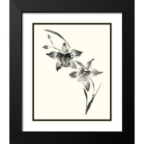 Studies in Ink - Cymbidium Black Modern Wood Framed Art Print with Double Matting by Rae, Nan