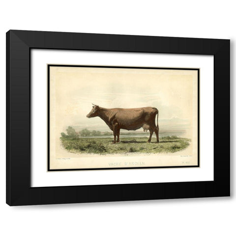 Vache D Angeln Black Modern Wood Framed Art Print with Double Matting by Bonheur, I.
