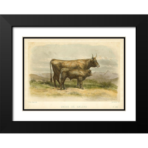 Vache De Salers Black Modern Wood Framed Art Print with Double Matting by Bonheur, I.