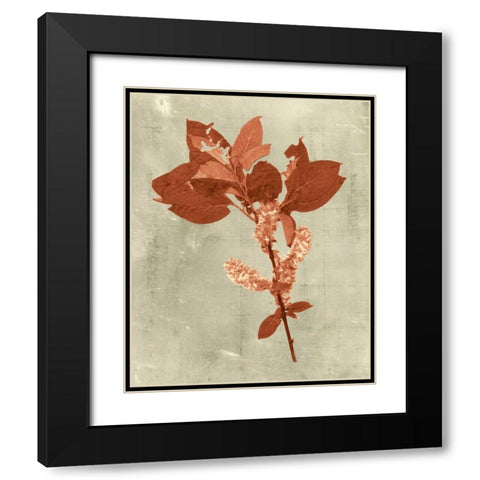 Impressions in Terra Cotta Black Modern Wood Framed Art Print with Double Matting by Vision Studio