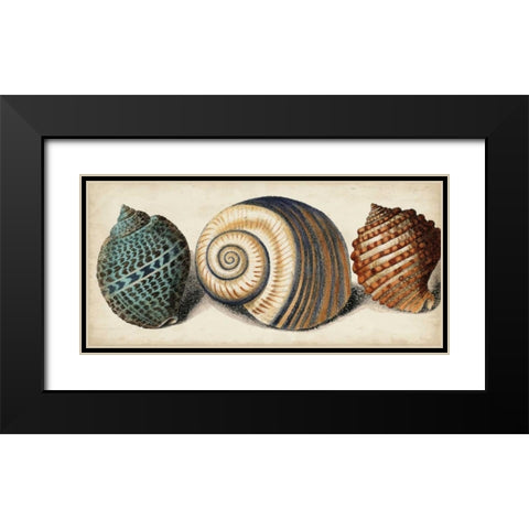 Shell Trio I Black Modern Wood Framed Art Print with Double Matting by Vision Studio
