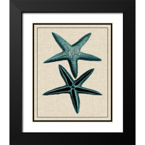 Coastal Starfish III Black Modern Wood Framed Art Print with Double Matting by Vision Studio