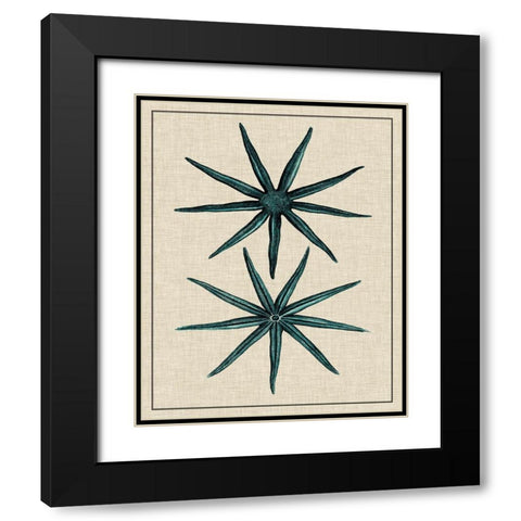 Coastal Starfish IV Black Modern Wood Framed Art Print with Double Matting by Vision Studio