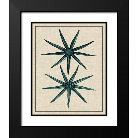 Coastal Starfish IV Black Modern Wood Framed Art Print with Double Matting by Vision Studio