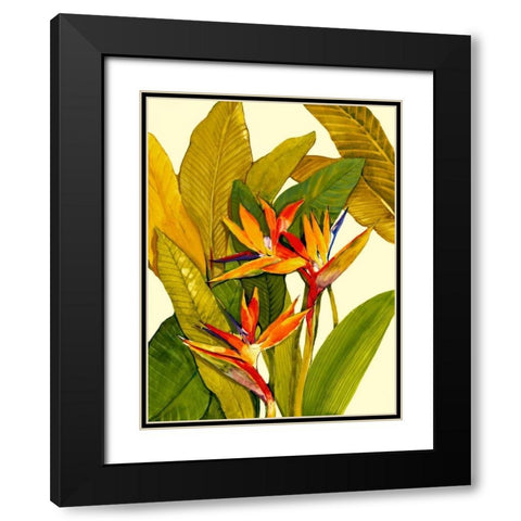 Tropical Bird of Paradise Black Modern Wood Framed Art Print with Double Matting by OToole, Tim