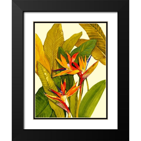 Tropical Bird of Paradise Black Modern Wood Framed Art Print with Double Matting by OToole, Tim