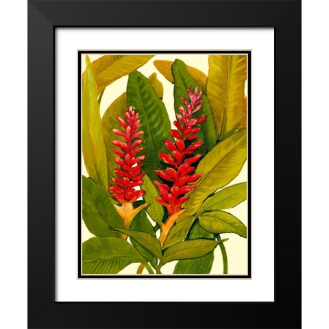Tropical Red Ginger Black Modern Wood Framed Art Print with Double Matting by OToole, Tim
