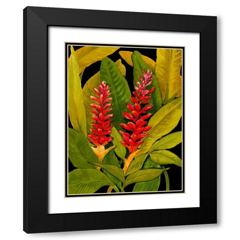 Dramatic Red Ginger Black Modern Wood Framed Art Print with Double Matting by OToole, Tim