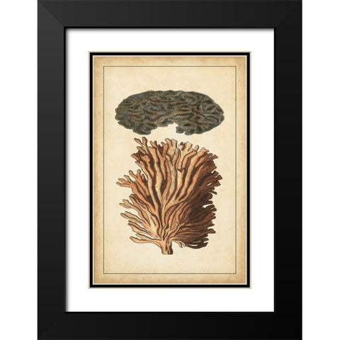 Coral Companion I Black Modern Wood Framed Art Print with Double Matting by Vision Studio