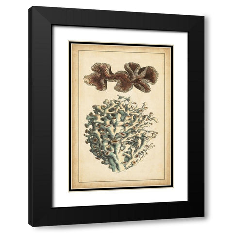 Coral Companion II Black Modern Wood Framed Art Print with Double Matting by Vision Studio