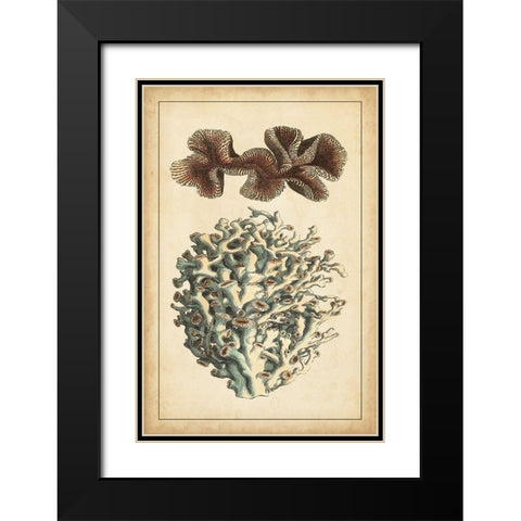 Coral Companion II Black Modern Wood Framed Art Print with Double Matting by Vision Studio