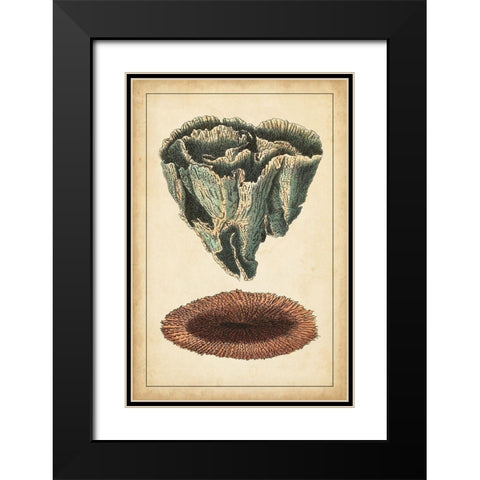 Coral Companion IV Black Modern Wood Framed Art Print with Double Matting by Vision Studio