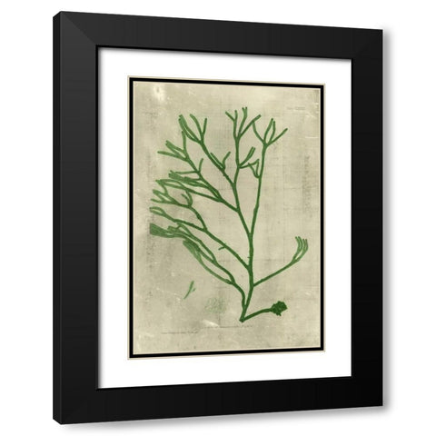 Emerald Seaweed III Black Modern Wood Framed Art Print with Double Matting by Unknown