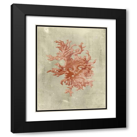 Coral in Terra Cotta Black Modern Wood Framed Art Print with Double Matting by Vision Studio