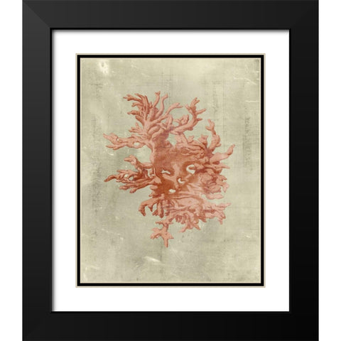 Coral in Terra Cotta Black Modern Wood Framed Art Print with Double Matting by Vision Studio