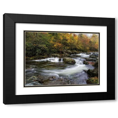 Autumn Dream Black Modern Wood Framed Art Print with Double Matting by Head, Danny