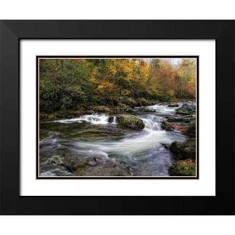Autumn Dream Black Modern Wood Framed Art Print with Double Matting by Head, Danny
