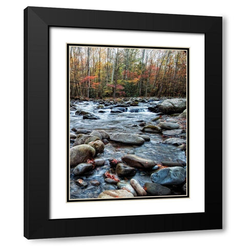 Porters Creek II Black Modern Wood Framed Art Print with Double Matting by Head, Danny