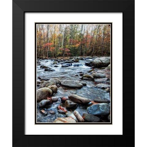 Porters Creek II Black Modern Wood Framed Art Print with Double Matting by Head, Danny