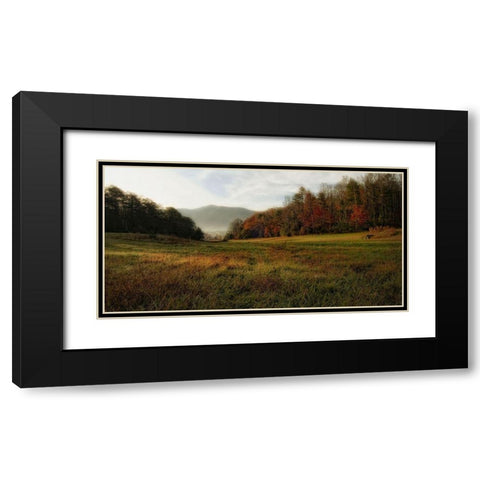 Warm Morning Light Black Modern Wood Framed Art Print with Double Matting by Head, Danny