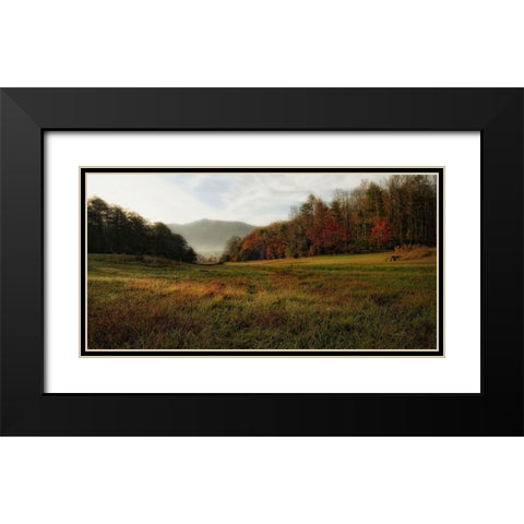 Warm Morning Light Black Modern Wood Framed Art Print with Double Matting by Head, Danny