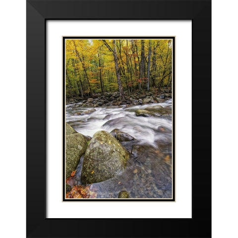 Roaring Waters I Black Modern Wood Framed Art Print with Double Matting by Head, Danny